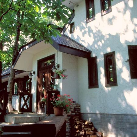 Earl Grey Hotell Hakuba Exteriör bild